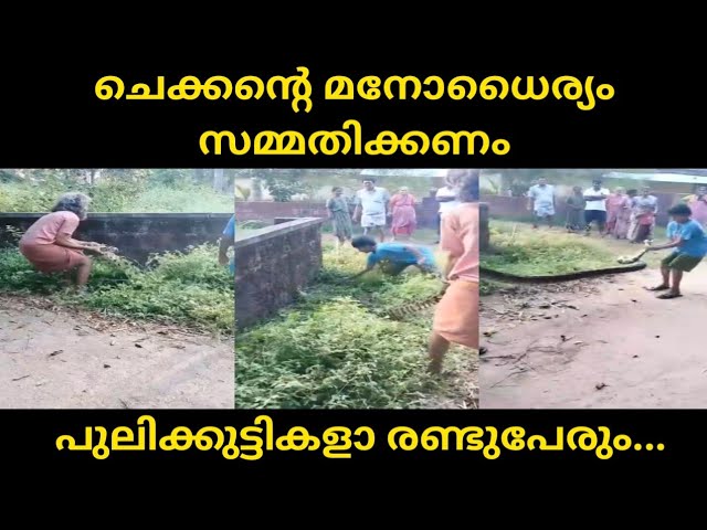 ചെക്കൻ്റെ മനോധൈര്യം സമ്മതിക്കണം.മറ്റുള്ളവരെല്ലാം നോക്കുകുത്തിയായി നിൽക്കുന്ന കാഴ്ച്ച