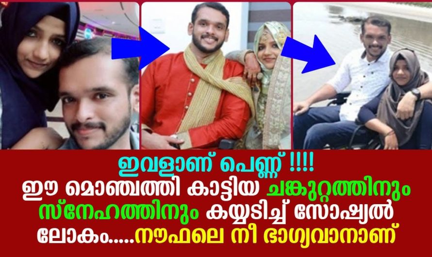 ഈ മൊഞ്ചത്തിയാണ് ഇപ്പോൾ സോഷ്യൽ മീഡിയയിലെ താരം…ഇവൾ കാട്ടിയ ചങ്കുറ്റത്തിന് കയ്യടിച്ച് സോഷ്യൽ ലോകം !!