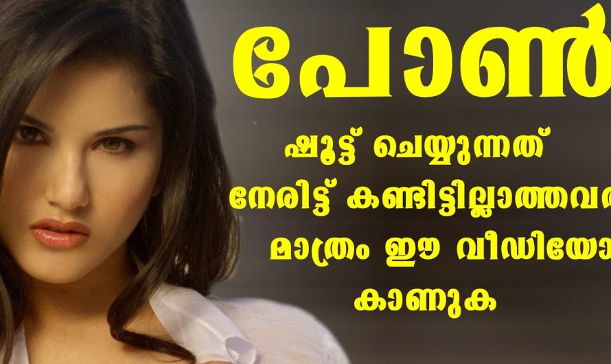 പോ… ൺ …ഷൂട്ട്‌ ചെയ്യുന്നത് കണ്ടിട്ടില്ലാത്തവർ മാത്രം ഈ വിഡിയോയോ കാണുക
