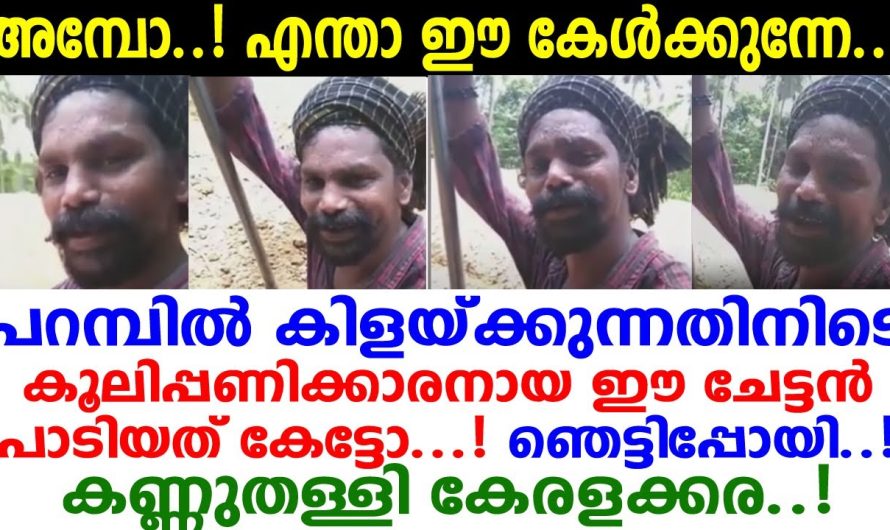 പാട്ടല്ല വിശപ്പല്ലേ വലുത്! പറമ്പുകിളയ്ക്കാനെത്തിയ ചേട്ടന്‍ പാട്ടുപാടിയതാ! കേട്ടുകണ്ണുതള്ളി കേരളക്കര!