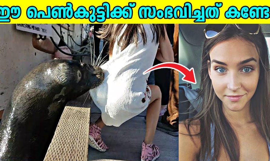 അപ്രതീക്ഷിതമായ ജീവികളുടെ ആക്രമങ്ങൾ