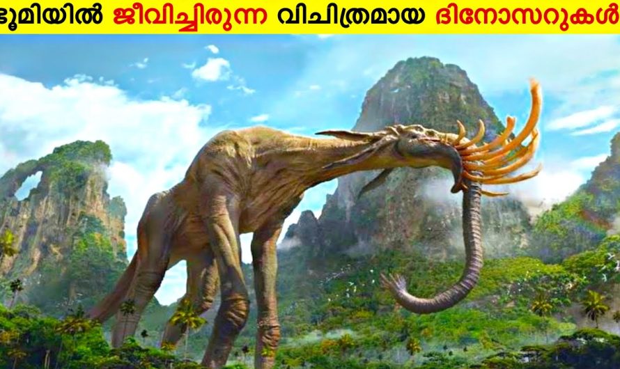 ഭൂമിയിൽ ജീവിച്ചിരുന്ന 10 വിചിത്രമായ ദിനോസറുകൾ🔥