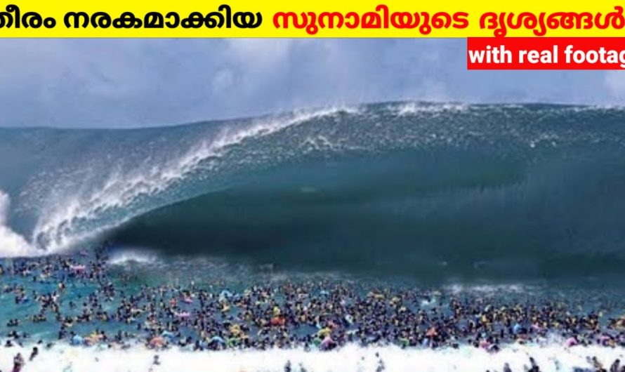 2004 ലെ സുനാമിയുടെ ദൃശ്യങ്ങൾ !