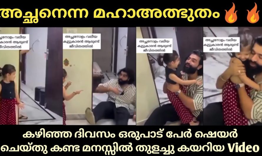 ഈ വീഡിയോ എത്ര തവണ കണ്ടു എന്നറിയില്ല👌 വർണ്ണിക്കാൻ വാക്കുകൾ കിട്ടുന്നില്ല