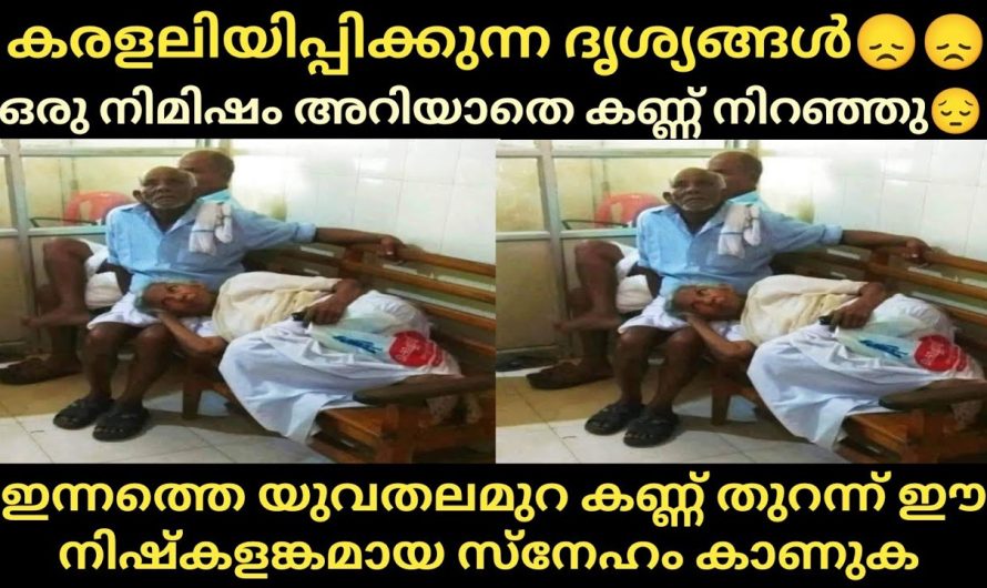 മനസ്സിനെ ഏറെ നൊമ്പരപ്പെടുത്തിയ കരളലിയിപ്പിക്കുന്ന ദൃശ്യങ്ങൾ😞