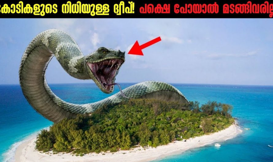 ഇന്നും ചുരുളഴിയാത്ത ഒരത്ഭുത ദ്വീപ്!