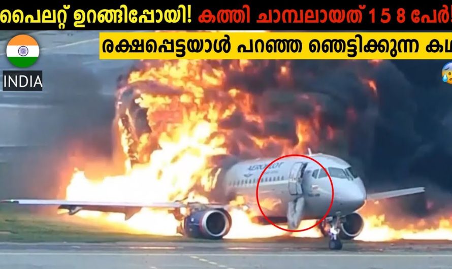 ആമസോൺ കാടുകളിൽ ഒളിഞ്ഞിരിക്കുന്ന അപകടങ്ങൾ