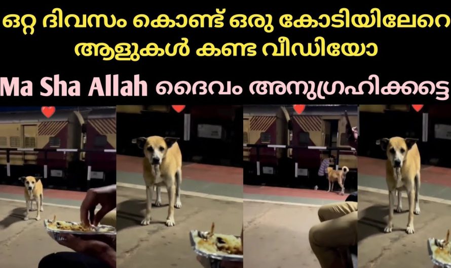കണ്ണ് നിറക്കുന്ന വീഡിയോ, ഇദ്ദേഹത്തെ ദൈവം അനുഗ്രഹിക്കട്ടെ