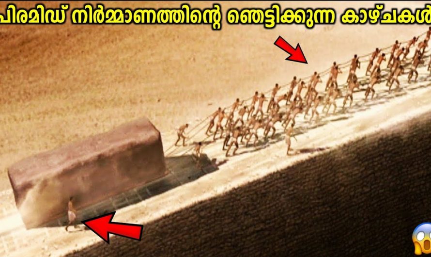പിരമിഡുകൾ നിർമ്മിച്ചത് ഇങ്ങനെയാണ്!😱