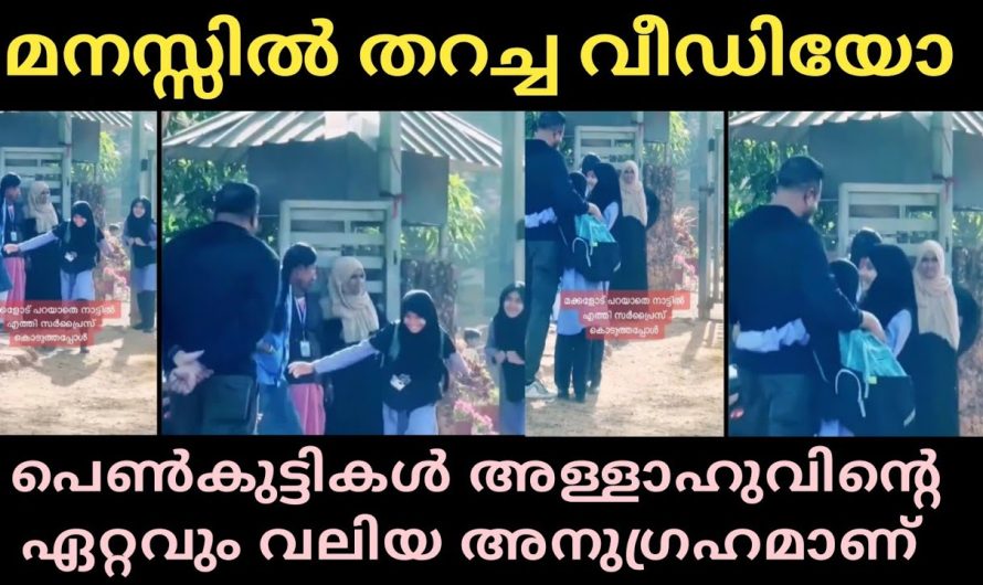 ഈ വീഡിയോ നിങ്ങളുടെ മനസ്സിൽ തറക്കും, 100% ഉറപ്പ്, കണ്ട് നോക്കൂ