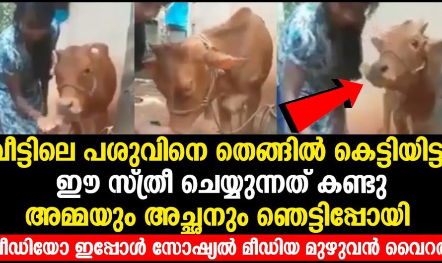 ഈ സ്ത്രീ ചെയ്യുന്നത് കണ്ടു അമ്മയും അച്ഛനും ഞെട്ടിപ്പോയി