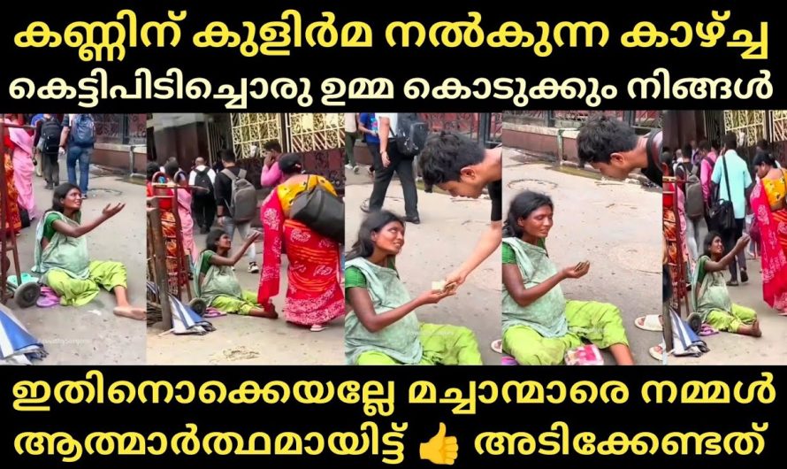 പെൺകുട്ടിയുടെ ആ നിസ്സഹയാവസ്ഥ കണ്ടപ്പോൾ ശരിക്കും കണ്ണ് നിറഞ്ഞു🥲പാവം സഹോദരി😔