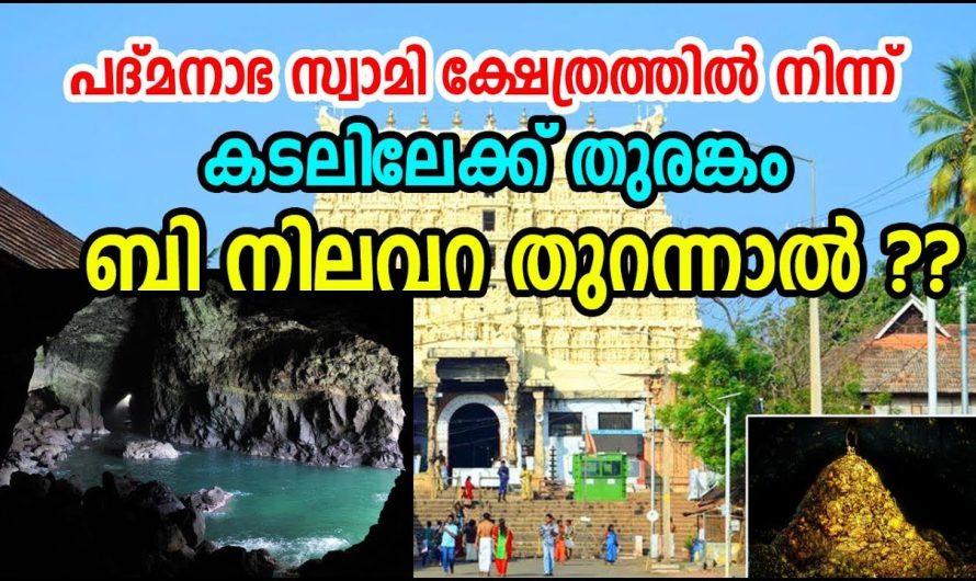 ആര്‍ക്കും നിര്‍മിക്കാന്‍ സാധിക്കാത്ത അത്ഭുത സൃഷ്ടി