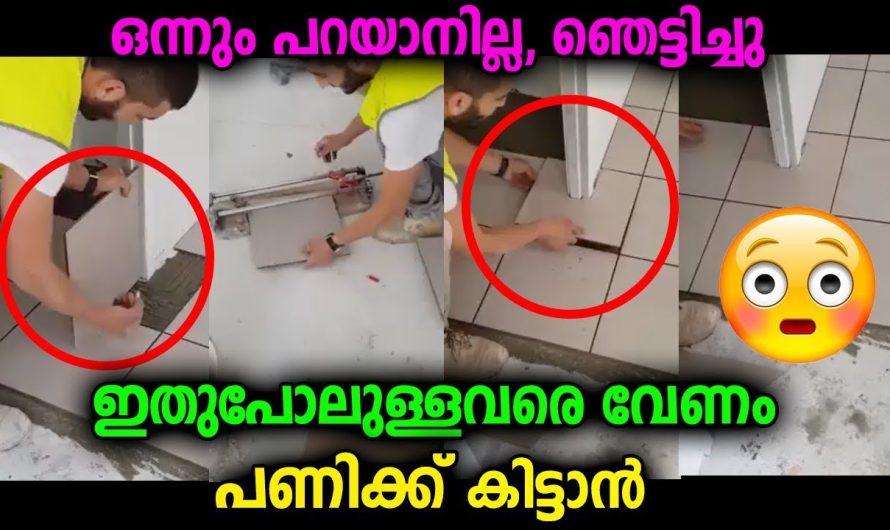 ഒന്നും പറയാനില്ല, ഇതുപോലുള്ളവരെ പണിക്ക് കിട്ടിയാൽ അതിലുംവലിയ ഭാഗ്യമില്ല