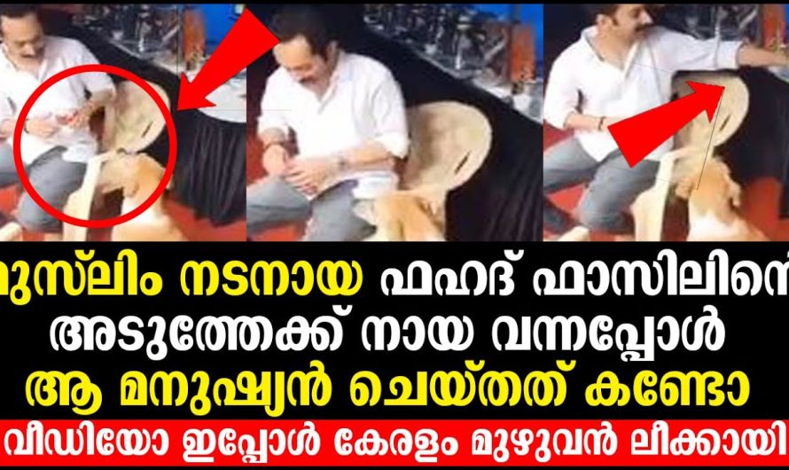 ഫഹദ് ഫാസിലിന്റെ അടുത്തേക്ക് നായ വന്നപ്പോൾ ആഹ് മനുഷ്യൻ ചെയ്തത് കണ്ടോ