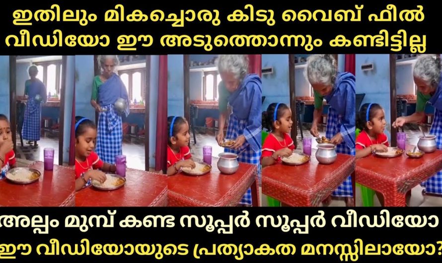 സത്യം, ഇതിലും മികച്ചൊരു കിടു വൈബ് ഫീൽ വീഡിയോ ഈ അടുത്തൊന്നും കണ്ടിട്ടില്ല