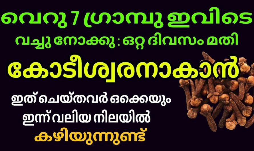 ഒറ്റ ദിവസം കൊണ്ട് സമ്പത്ത് വർദ്ധിപ്പിക്കാം ! 7 ഗ്രാമ്പു ദാ ഇവിടെ വച്ചാൽ മാത്രം മതി