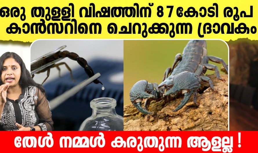ഒരു തുള്ളി കിട്ടാൻ ലക്ഷങ്ങൾ ! തേൾ നമ്മൾ കരുതുന്ന ആളല്ല