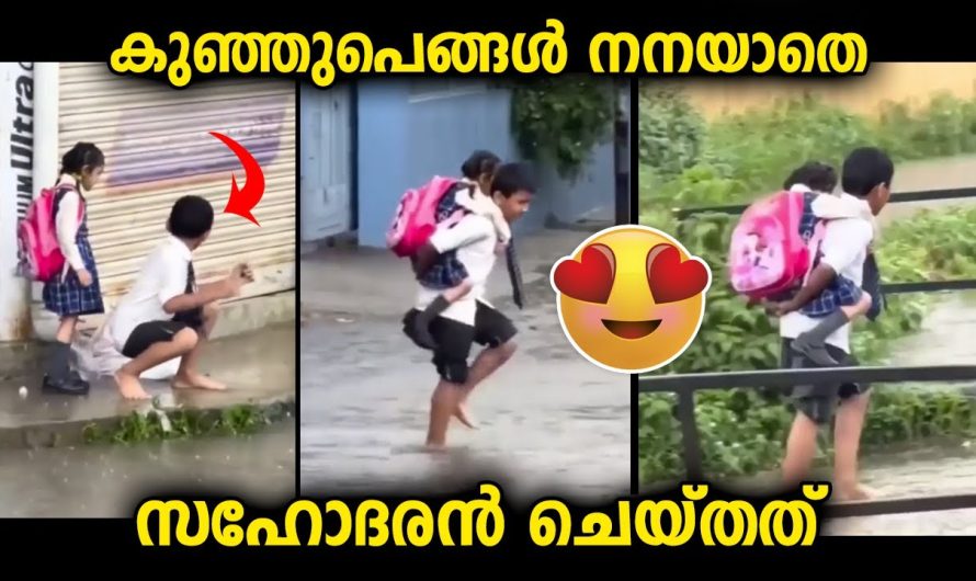 ഇതാണ് കളങ്കമില്ലാത്ത സഹോദരസ്നേഹം…സഹോദരി നനയാതിരിക്കാൻ സഹോദരൻ ചെയ്തത്