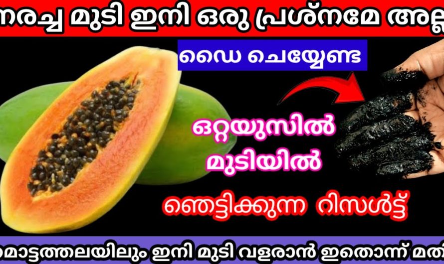 ഇനി പപ്പായ ഇങ്ങനെ ചെയ്യൂ ഒറ്റയൂസിൽ ഞെട്ടിക്കുന്ന റിസൾട്ട് മുടി വേരോടെ കറുപ്പാക്കാൻ ഇതൊന്നുമതി