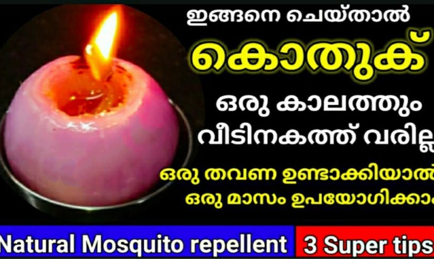 വീടിനകത്ത്‌ ഒരു കൊതുക് പോലും വരില്ല, ഉള്ള കൊതുകുകൾ വരെ പമ്പ കടക്കും