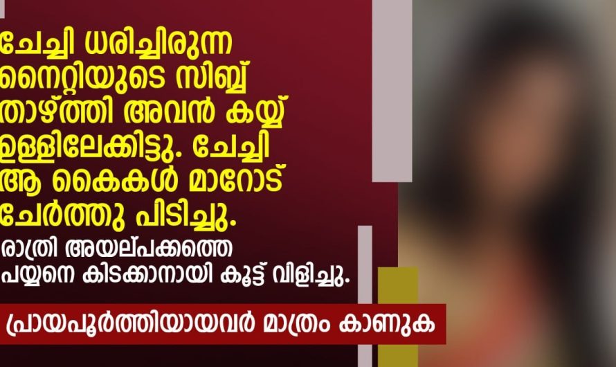 രാത്രി അയല്പക്കത്തെ പയ്യനെ കിടക്കാനായി കൂട്ട് വിളിച്ചു