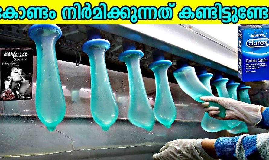 തീർച്ചയായും നിങ്ങളുടെ ശ്രദ്ധ പിടിച്ചുപറ്റുന്ന 10 തൃപ്തികരമായ കാര്യങ്ങൾ