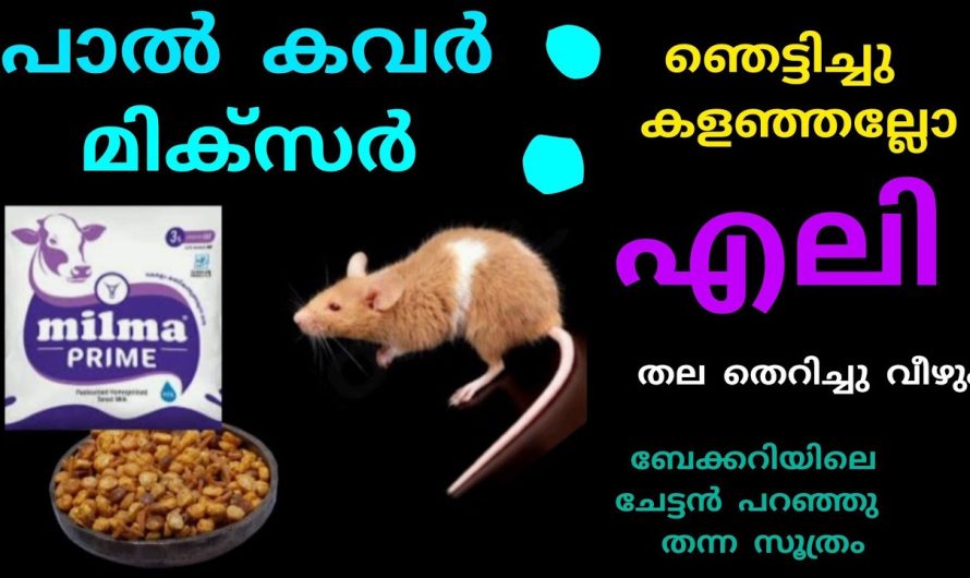 ബേക്കറിയിലെ ചേട്ടൻ പറഞ്ഞു തന്ന സൂത്രം || പാൽ കവർ ഇനി ആരും കളയില്ല|| മിച്ചർ ഒരല്പം എനിക്കും കൊടുക്കൂ