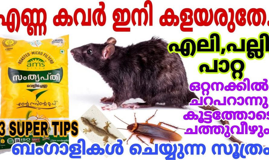 ബംഗാളികൾ ചെയ്യുന്ന സൂത്രം എലി പല്ലി പാറ്റ കൂട്ടത്തോടെ ചത്തുവീഴും