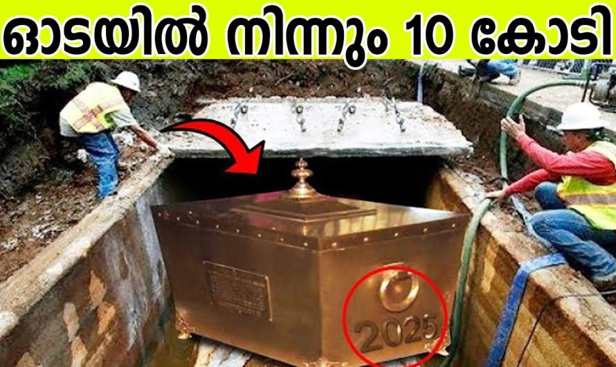 ഓടയിൽ നിന്നും 10 കോടിയുടെ നിധി കിട്ടി