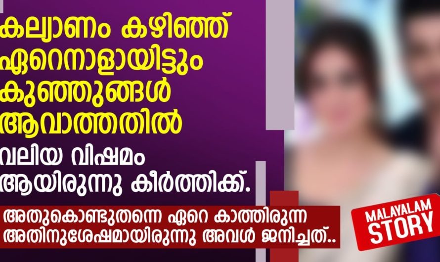 കല്യാണം കഴിഞ്ഞ് ഏറെനാളായിട്ടും കുഞ്ഞുങ്ങൾ ആവാത്തതിൽ വലിയ വിഷമം ആയിരുന്നു കീർത്തിക്ക്