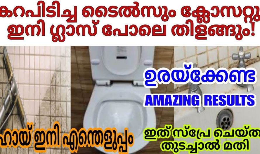 ബാത്റൂം ഉരച്ച് കഴുകാതെ bathroom floor tiles വെട്ടിതിളങ്ങും |സ്പ്രേ ചെയ്തു തുടച്ചാൽ മതി