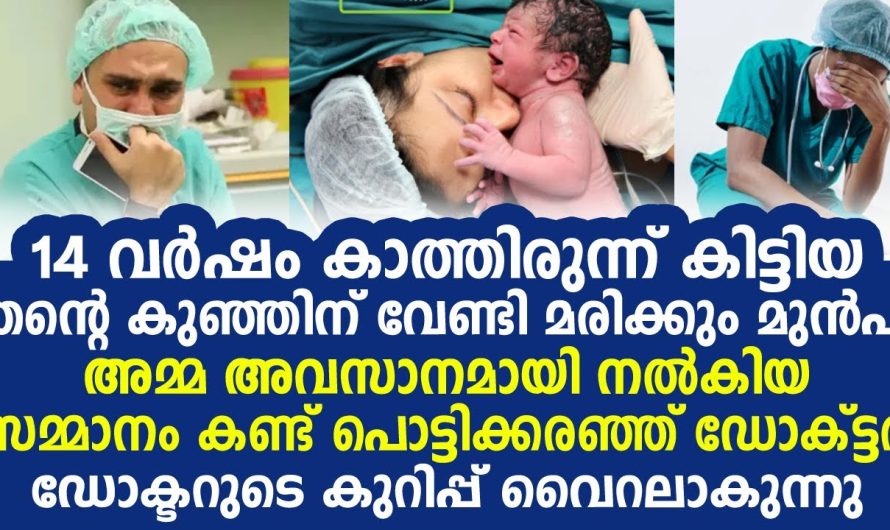 14 വർഷം കാത്തിരുന്നു, പക്ഷേ ഓമനിക്കാൻ വിധി അനുവദിച്ചില്ല, അമ്മ കുഞ്ഞിന് നൽകിയ അവസാന സമ്മാനം