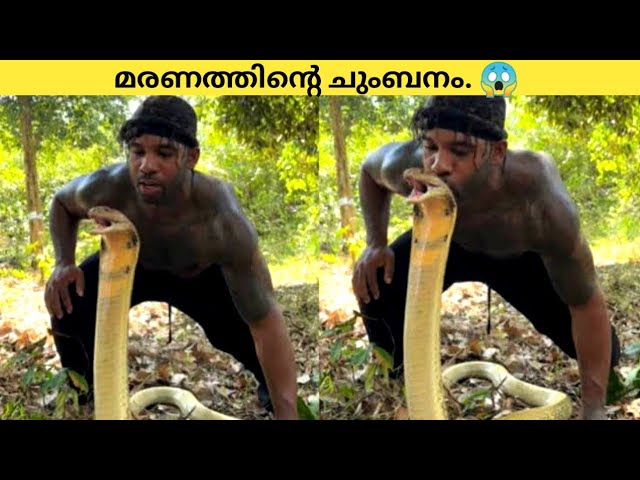 മരണത്തിന്റെ ചുംബനം.