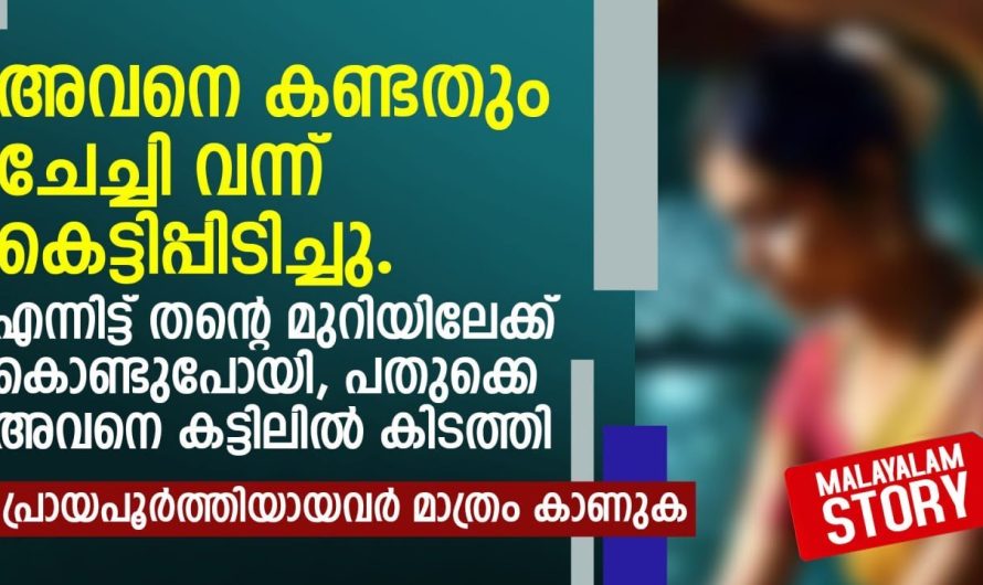 അവനെ കണ്ടതും ചേച്ചി വന്ന് കെട്ടിപ്പിടിച്ചു.. എന്നിട്ട് തന്റെ മുറിയിലേക്ക് കൊണ്ടുപോയി