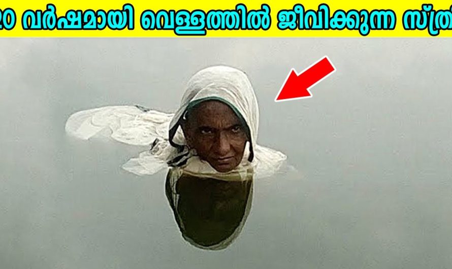 ഇങ്ങനെയും അപൂർവ്വമായ ജീവിതങ്ങൾ