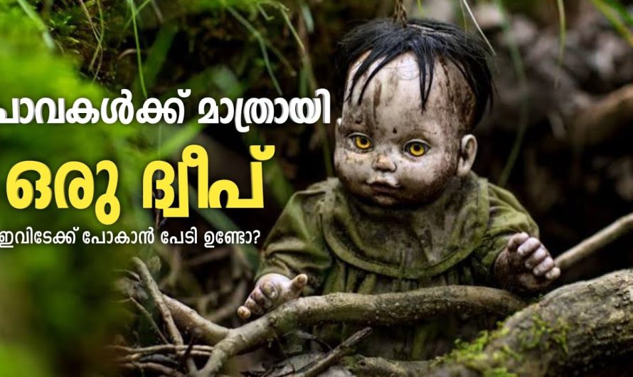 പാവകൾ മാത്രമുള്ള ദ്വീപ് 😵‍💫 ഇവിടേക്ക് പോകാൻ നിങ്ങൾക്ക് പേടിയുണ്ടോ