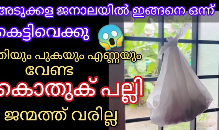 ഇനി രോഗം പരത്തുന്ന കൊതുകിനെ ഇല്ലാതാക്കാൻ എന്തെളുപ്പം