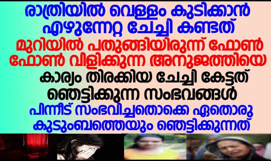 രാത്രിയിൽ വെള്ളം കുടിക്കാൻ എഴുന്നേറ്റ ചേച്ചി കണ്ടത് ഏതൊരു കുടുംബത്തെയും ഞെട്ടിക്കുന്നത്.