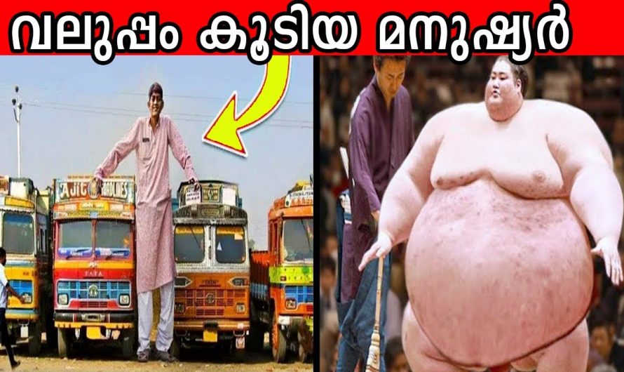 ഇവരുഡേ വലുപ്പം കണ്ടാൽ നിങ്ങൾ ഞെട്ടും