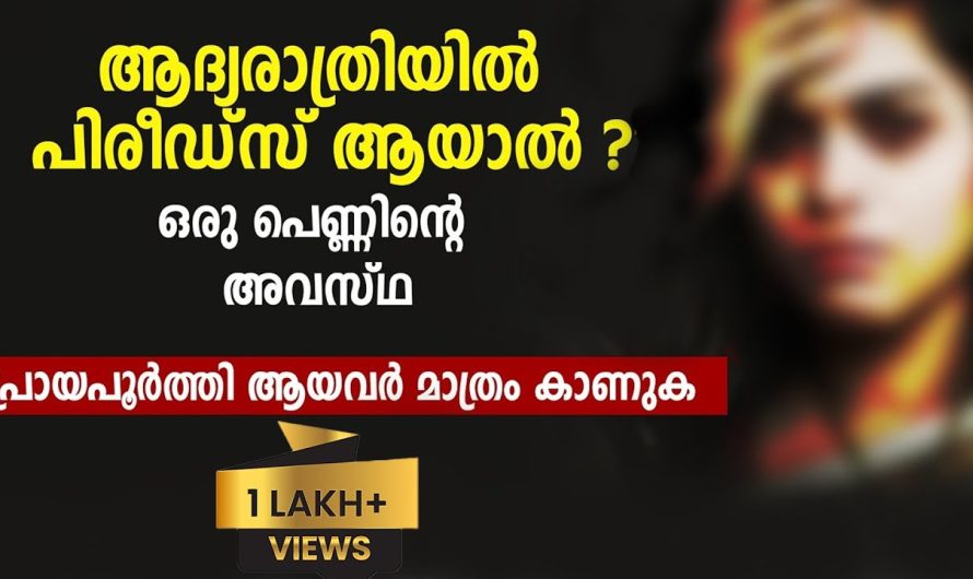 എല്ലാ പെണ്ണുങ്ങൾക്കും എല്ലാ മാസവും ഇതൊക്കെ വരാറുള്ളതല്ലേ എന്നിട്ടും