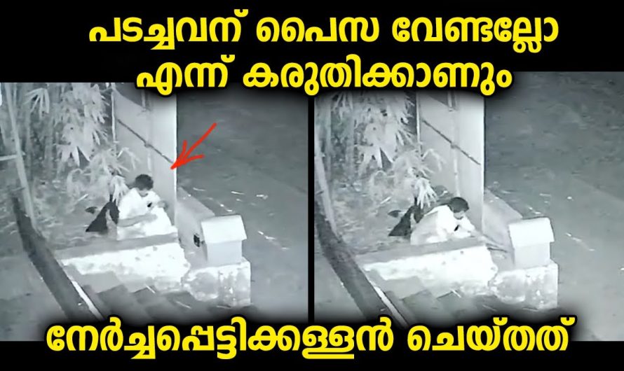 പടച്ചവന് പണത്തിന്റെ ആവശ്യം ഇല്ലെന്ന് കരുതിയാണോ ഇവൻ ഇങ്ങനെ ചെയ്തത്