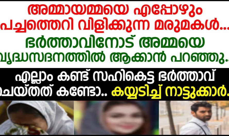 എല്ലാം കണ്ട് സഹികെട്ട ഭർത്താവ് ചെയ്തത് കണ്ടോ; കയ്യടിച്ച് നാട്ടുക്കാർ