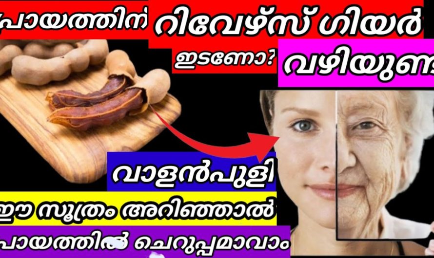 എന്തോരം വാളൻപുളി സാമ്പാറിൽ ഇട്ടു ഒരിക്കൽപോലും ഇങ്ങനെ ചെയ്യാൻ തോന്നിയില്ലല്ലോ