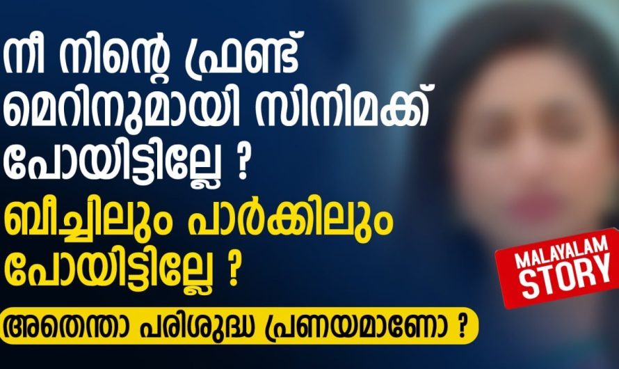 നീ മെറിനുമായി സിനിമക്ക് പോയിട്ടില്ലേ? അതെന്താ പരിശുദ്ധ പ്രണയമാണോ