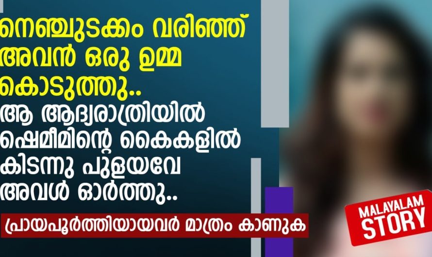 ആ ആ.ദ്യ.രാ0ത്രിയിൽ ഷെമീമിന്റെ കൈകളിൽ കിടന്നു പുള.0.യ0വേ അവൾ ഓർത്തു |