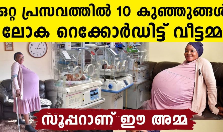 ഒറ്റ പ്രസവത്തിൽ 10 കുഞ്ഞുങ്ങളുമായി ഒരു വീട്ടമ്മ..Guinness റെക്കോർഡിലേക്ക്