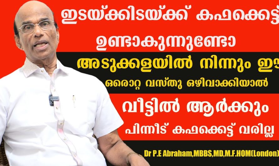 അടുക്കളയിൽ നിന്നും ഈ ഒരൊറ്റ വസ്തു ഒഴിവാക്കിയാൽ പിന്നീട് വീട്ടിൽ ആർക്കും കഫക്കെട്ട് വരില്ല