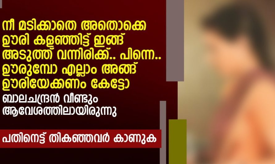 നിനക്കും സുഖങ്ങളൊക്കെ അറിയേണ്ടേ.. അവളുടെ സമ്മതം കിട്ടിയതും ആവേശത്തോടെ ബാലചന്ദ്രൻ