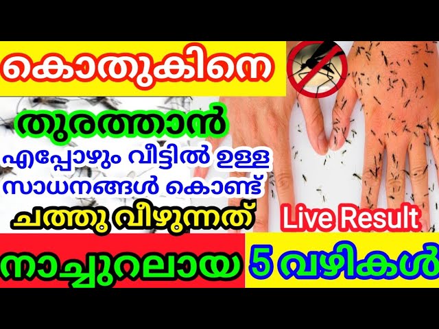 കൊതുകിനെ ഓടിക്കാൻ അടുക്കളയിലെ ഈയൊരൊറ്റ സാധനം മതി